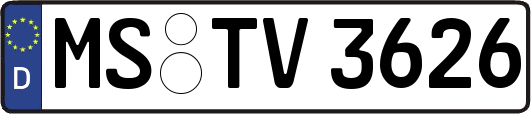 MS-TV3626