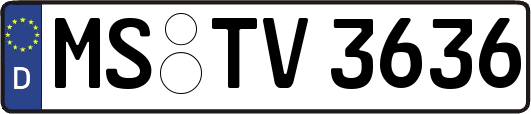MS-TV3636