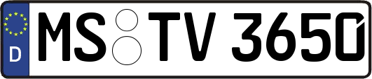 MS-TV3650