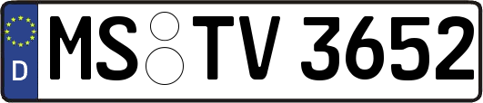 MS-TV3652