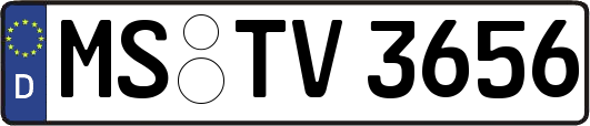 MS-TV3656
