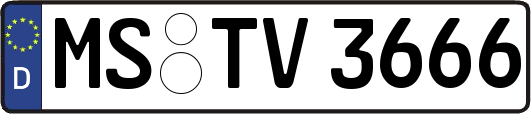 MS-TV3666