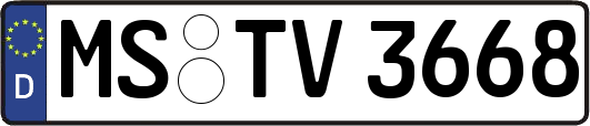 MS-TV3668