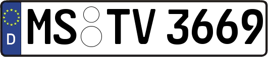 MS-TV3669