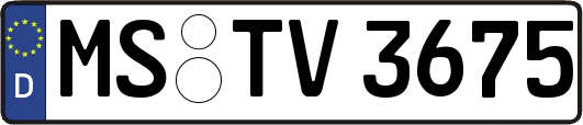 MS-TV3675