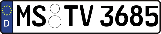 MS-TV3685