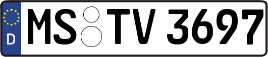 MS-TV3697