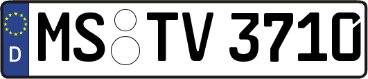 MS-TV3710