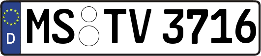 MS-TV3716