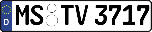 MS-TV3717