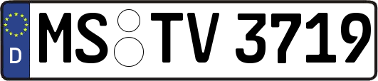 MS-TV3719