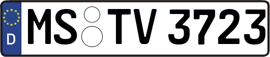 MS-TV3723