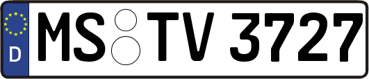 MS-TV3727