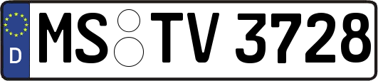 MS-TV3728