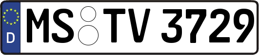 MS-TV3729