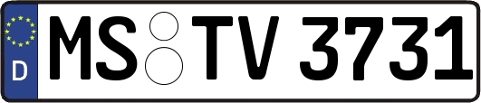 MS-TV3731