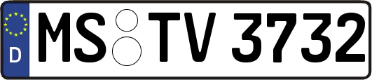 MS-TV3732