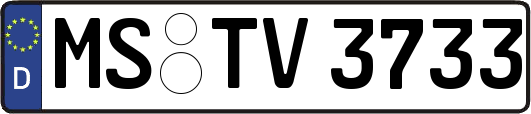 MS-TV3733