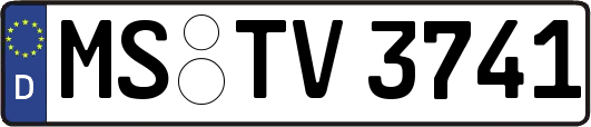 MS-TV3741