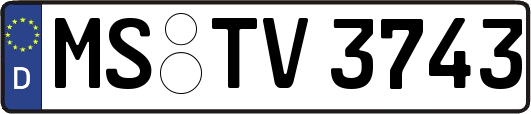 MS-TV3743