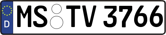 MS-TV3766