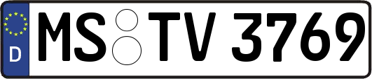 MS-TV3769