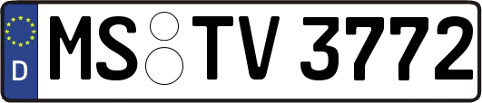 MS-TV3772