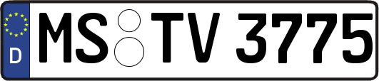 MS-TV3775