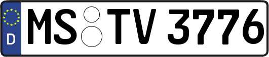 MS-TV3776