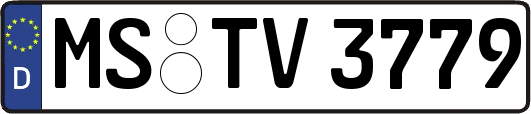 MS-TV3779