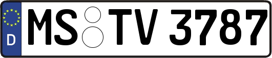 MS-TV3787