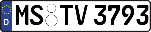 MS-TV3793