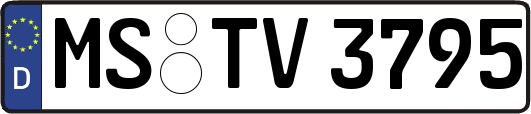 MS-TV3795