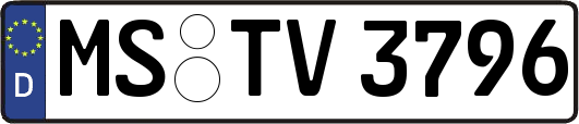 MS-TV3796