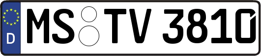 MS-TV3810