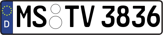 MS-TV3836
