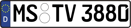 MS-TV3880