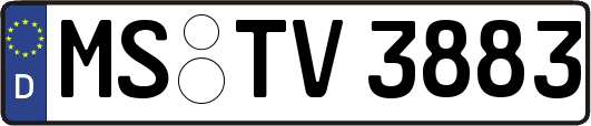 MS-TV3883
