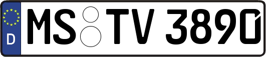MS-TV3890