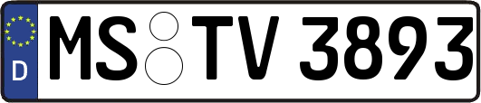MS-TV3893