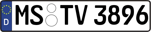 MS-TV3896