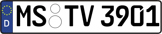 MS-TV3901