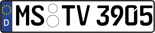 MS-TV3905
