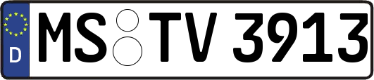 MS-TV3913
