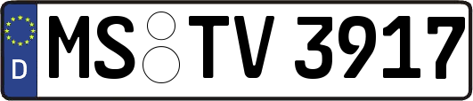 MS-TV3917