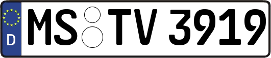 MS-TV3919