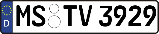 MS-TV3929
