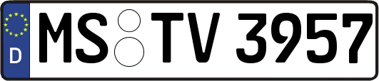 MS-TV3957