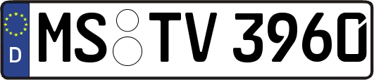 MS-TV3960