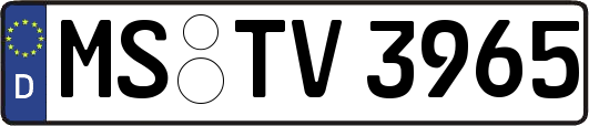 MS-TV3965